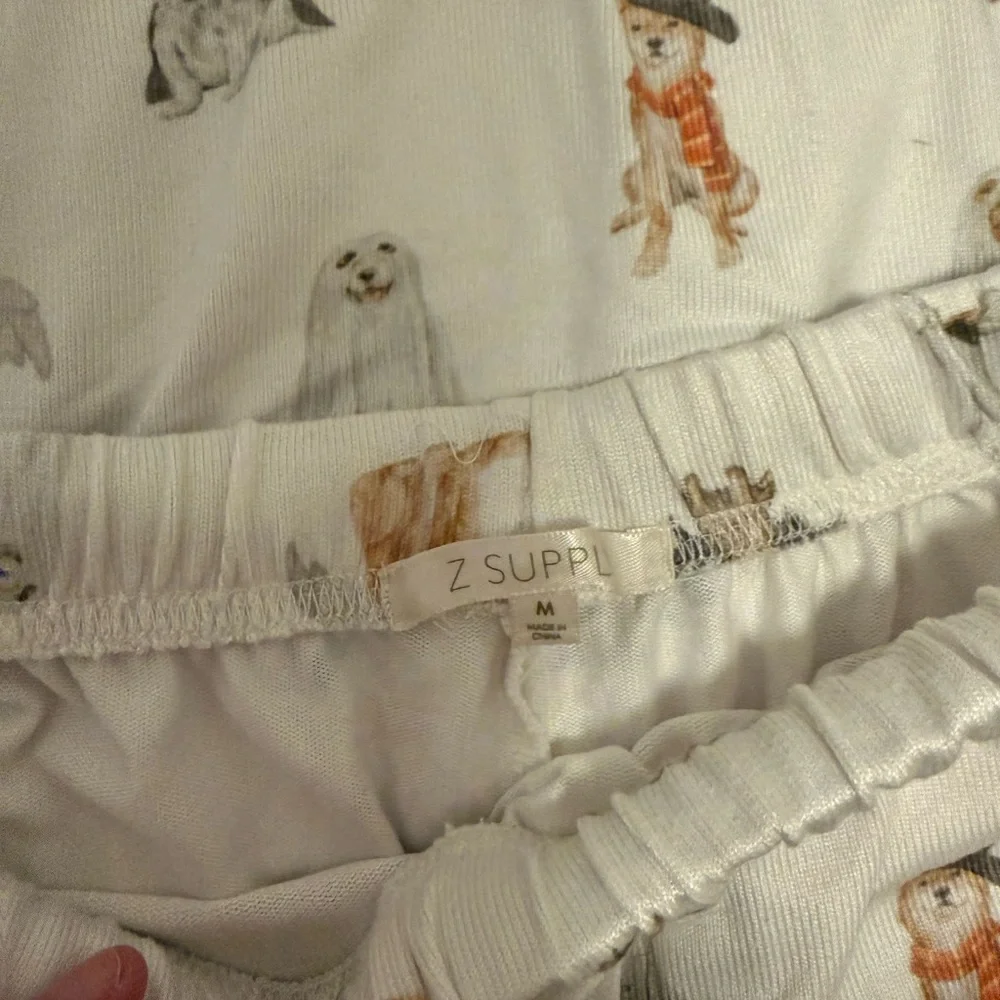 Z supply hey boo Halloween dog shorts and long sleeve set - Picture 5 of 7